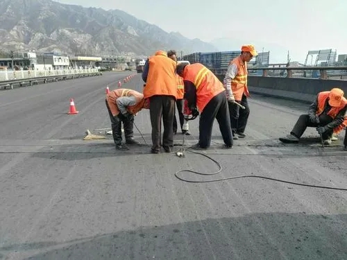 大竹道路桥梁病害治理